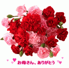 hahanohi-card2
