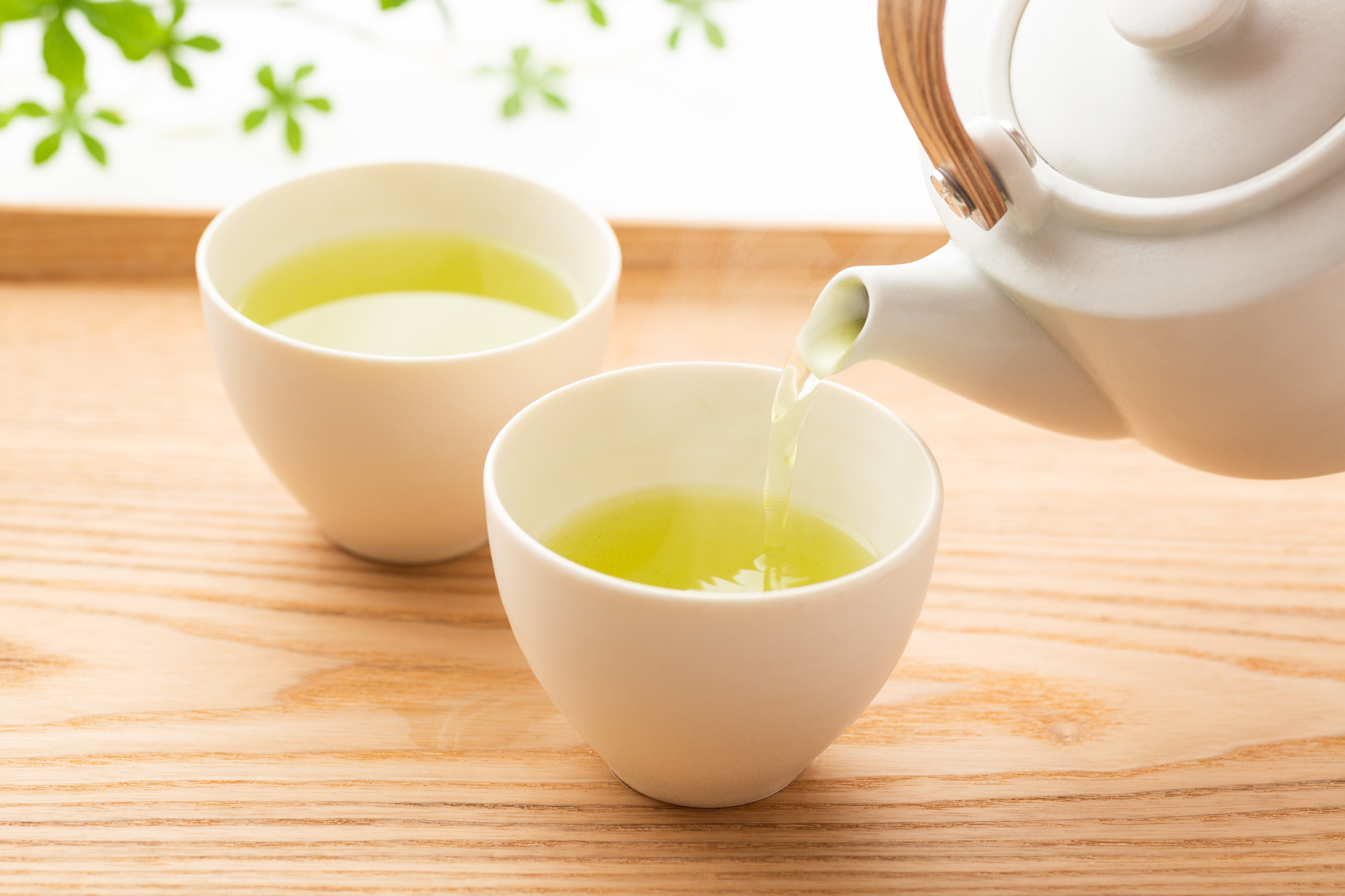 緑茶のイメージ